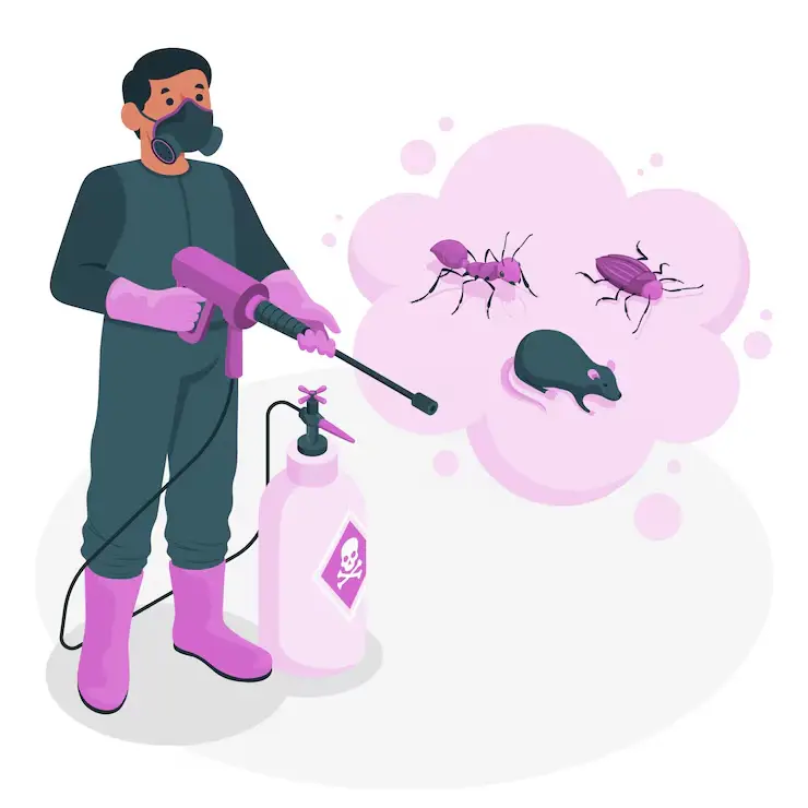 # 1 Trused Local Pest Control  In Cylde